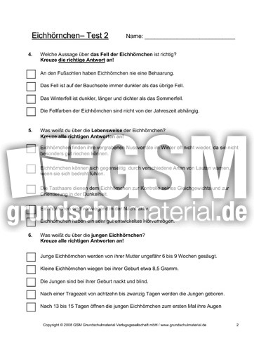 Eichhörnchen-Test-Seite-2.pdf